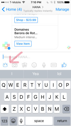 chat-window-with-bot